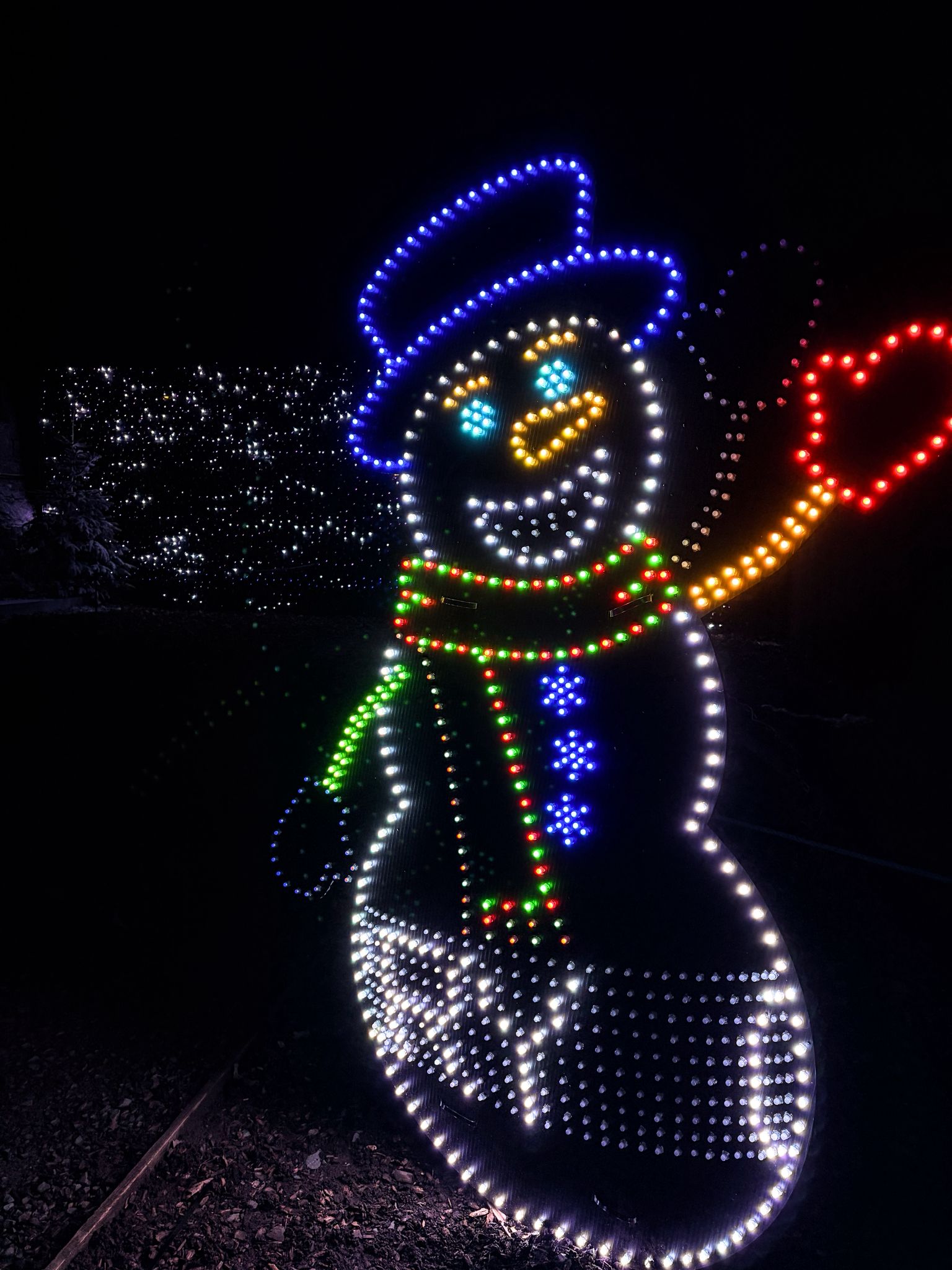 WhatsApp Image 2025-12-18 at 17.46.56