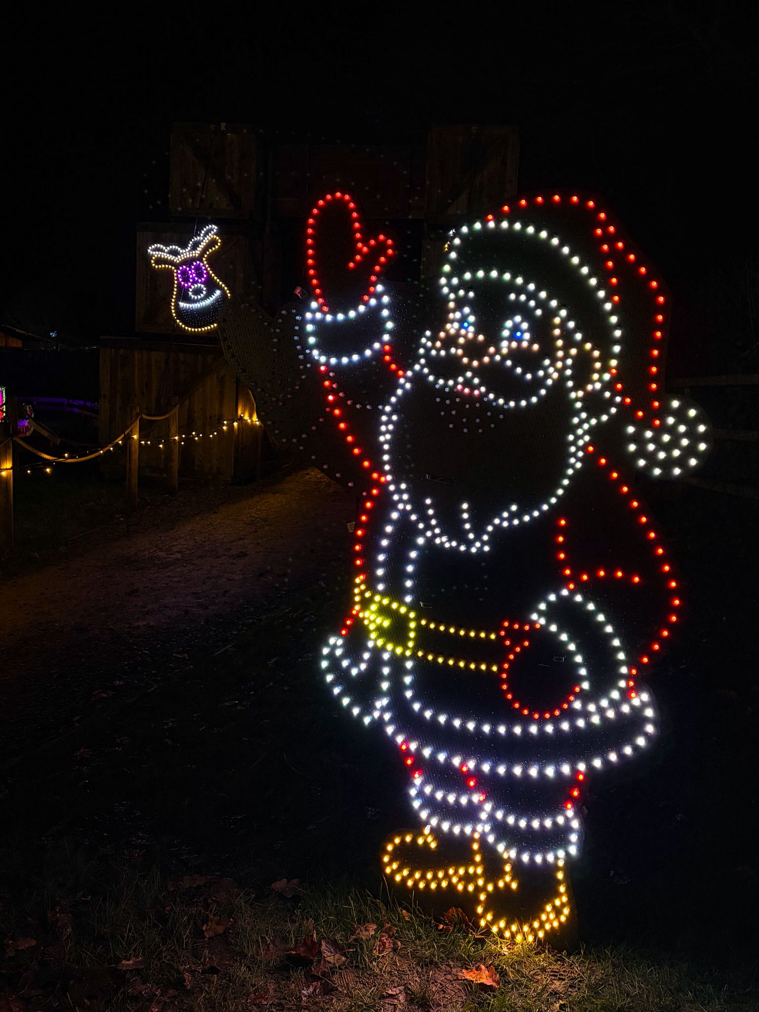 WhatsApp Image 2025-12-18 at 17.46.57