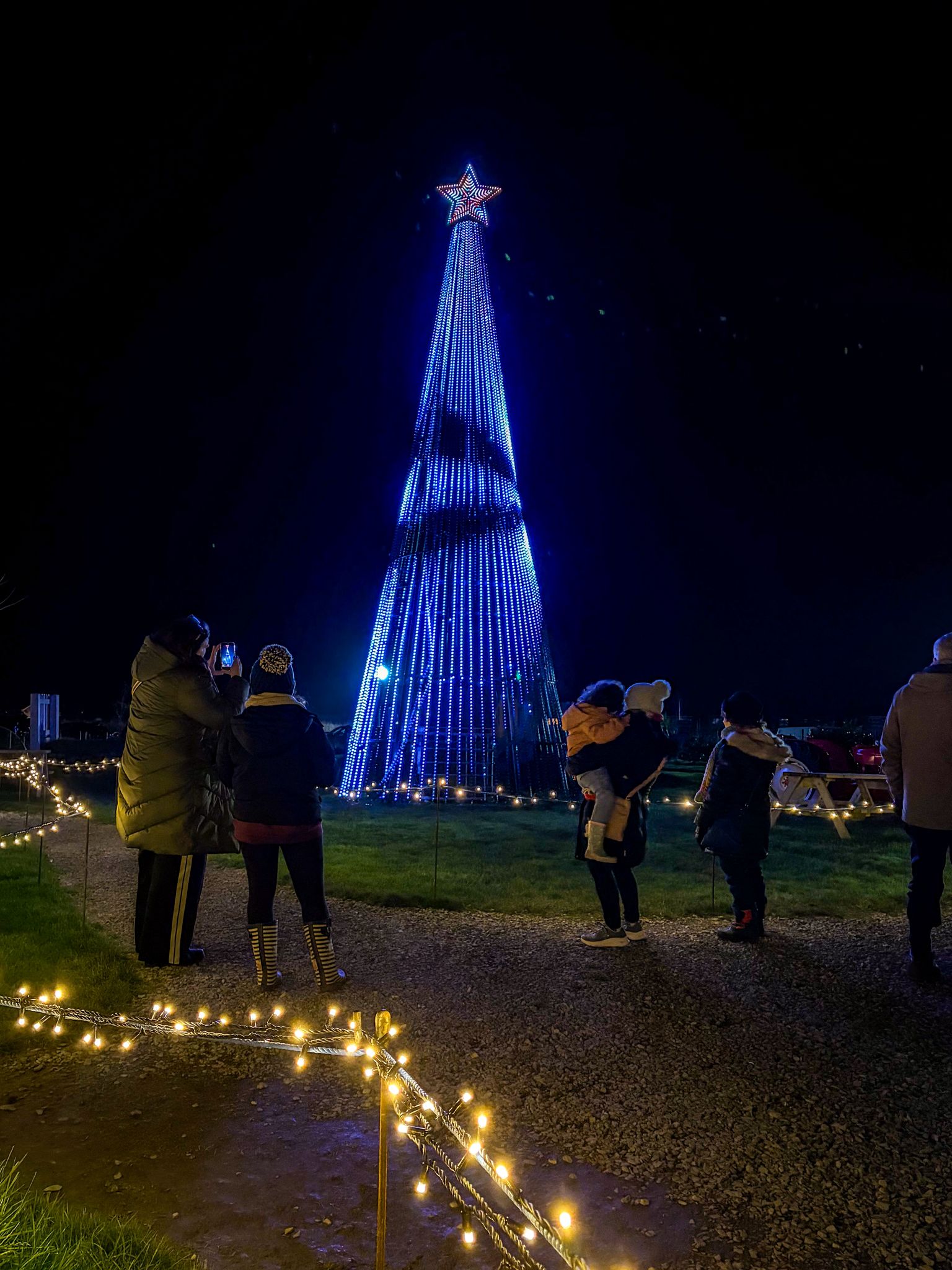 WhatsApp Image 2025-12-18 tree